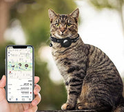 Peut-on utiliser un AirTag d’Apple pour localiser son chat ? Une analyse complète