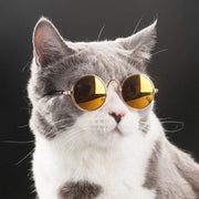 Lunettes de soleil vintage pour animaux - Accessoire chic pour photos et cosplay - PawHarmony