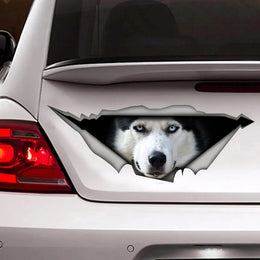 Sticker Husky - Décoration étanche pour voitures ou ordinateurs portables - PawHarmony