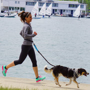 Laisse main libre réglable pour chien - Idéale pour promenades, jogging et activités extérieures - PawHarmony