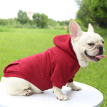 Hoodie confortable pour chats et petits chiens - Tenue chaude automne/hiver - PawHarmony