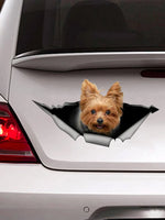 Sticker Yorkshire Terrier adhésif - Décoration étanche pour voitures, motos et accessoiress - PawHarmony