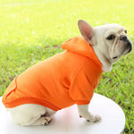 Hoodie confortable pour chats et petits chiens - Tenue chaude automne/hiver - PawHarmony