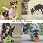 Balle interactive en caoutchouc pour chiens – Jouet durable pour mâcher et nettoyer les dents - PawHarmony