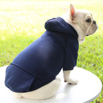 Hoodie confortable pour chats et petits chiens - Tenue chaude automne/hiver - PawHarmony