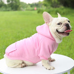 Hoodie confortable pour chats et petits chiens - Tenue chaude automne/hiver - PawHarmony