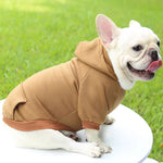 Hoodie confortable pour chats et petits chiens - Tenue chaude automne/hiver - PawHarmony