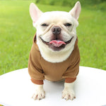 Hoodie confortable pour chats et petits chiens - Tenue chaude automne/hiver - PawHarmony