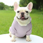 Hoodie confortable pour chats et petits chiens - Tenue chaude automne/hiver - PawHarmony