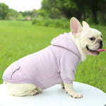 Hoodie confortable pour chats et petits chiens - Tenue chaude automne/hiver - PawHarmony