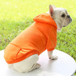 Hoodie confortable pour chats et petits chiens - Tenue chaude automne/hiver - PawHarmony