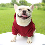 Hoodie confortable pour chats et petits chiens - Tenue chaude automne/hiver - PawHarmony