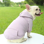 Hoodie confortable pour chats et petits chiens - Tenue chaude automne/hiver - PawHarmony