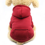 Hoodie confortable pour chats et petits chiens - Tenue chaude automne/hiver - PawHarmony