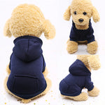 Hoodie confortable pour chats et petits chiens - Tenue chaude automne/hiver - PawHarmony