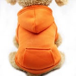 Hoodie confortable pour chats et petits chiens - Tenue chaude automne/hiver - PawHarmony