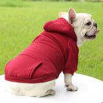 Hoodie confortable pour chats et petits chiens - Tenue chaude automne/hiver - PawHarmony