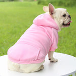 Hoodie confortable pour chats et petits chiens - Tenue chaude automne/hiver - PawHarmony