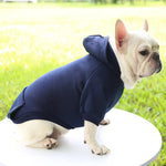 Hoodie confortable pour chats et petits chiens - Tenue chaude automne/hiver - PawHarmony