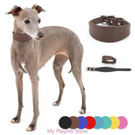 Collier Premium en cuir doux – Parfait pour Lévriers, Whippets et chiens Sighthound - PawHarmony