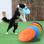 Jouet Frisbee pour chiens - Disque volant multicolore pour jeux et entraînement - PawHarmony