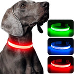 Collier lumineux pour promenades nocturnes - LED rechargeable et haute visibilité pour toutes les tailles - PawHarmony