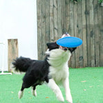 Jouet Frisbee pour chiens - Disque volant multicolore pour jeux et entraînement - PawHarmony