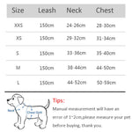 Set Harnais et Laisse pour Chien et Chat - Confort et Sécurité pour chat,bulldog, chihuahua et plus - PawHarmony