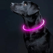 Collier lumineux USB pour animaux - 3 Modes LED pour repérer votre compagnon - PawHarmony