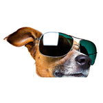 Sticker Jack Russell Terrier - Décoration polyvalente pour voitures, casques et ordinateurs portables - PawHarmony