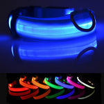 Collier lumineux pour promenades nocturnes - LED rechargeable et haute visibilité pour toutes les tailles - PawHarmony