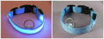 Collier lumineux pour promenades nocturnes - LED rechargeable et haute visibilité pour toutes les tailles - PawHarmony