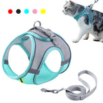 Set Harnais et Laisse pour Chien et Chat - Confort et Sécurité pour chat,bulldog, chihuahua et plus - PawHarmony