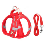 Set Harnais et Laisse pour Chien et Chat - Confort et Sécurité pour chat,bulldog, chihuahua et plus - PawHarmony