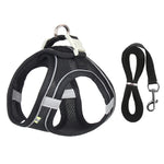 Set Harnais et Laisse pour Chien et Chat - Confort et Sécurité pour chat,bulldog, chihuahua et plus - PawHarmony