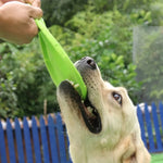 Jouet Frisbee pour chiens - Disque volant multicolore pour jeux et entraînement - PawHarmony