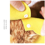 Collier Élizabethain Fleur ajustable pour chats et chiens - Protection et confort pour la guérison - PawHarmony